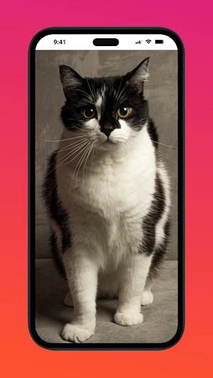 Animal Wallpapers Screenshot 0