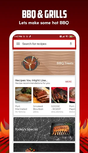 Barbecue Grill Recipes Screenshot 0