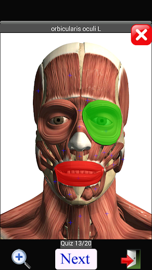 Anatomy Quiz Free Screenshot 2