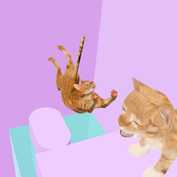 Cat Flipper