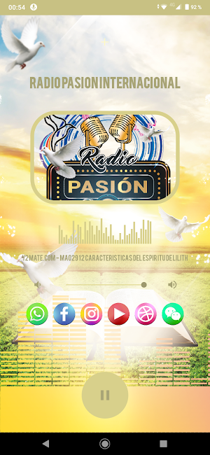 RADIO PASION INTERNACIONAL Screenshot 0