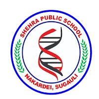 SHEHRA PUBLIC SCHOOL