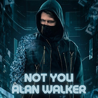 Not You Alan Walker Offline