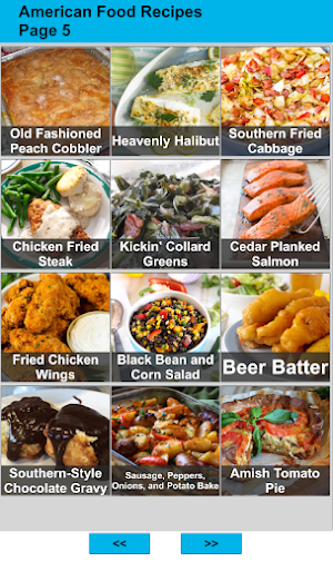 150 American Food Recipes Screenshot 3