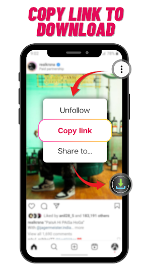 StealInsta Screenshot 3