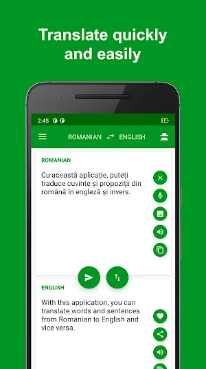 Romanian - English Translator Screenshot 0