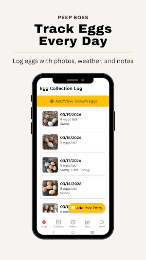 Peep Boss: Chicken Tracker Screenshot 0