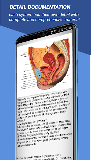 female reproductive system 3d models explained Screenshot 2