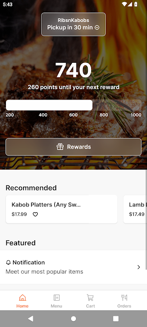 RibsnKabobs Screenshot 0