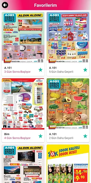 Catalog - Brochure Screenshot 2