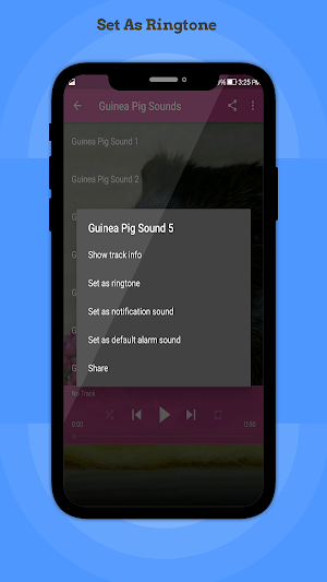 Guinea Pig Sounds Screenshot 3