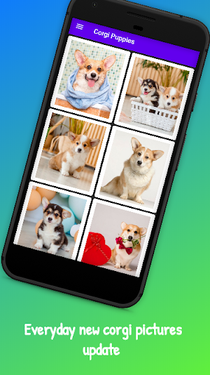 Corgi Puppies Screenshot 0