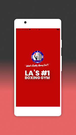 LB4LB Boxing Screenshot 0