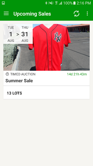 Phoenix Online Auction Screenshot 0