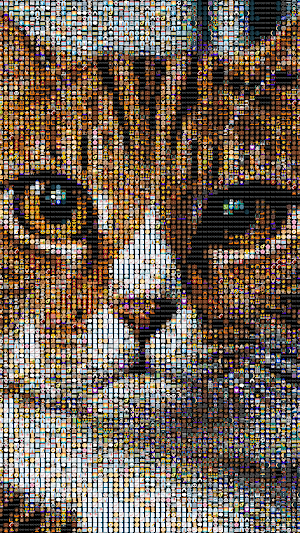Photo from Emojis Screenshot 3