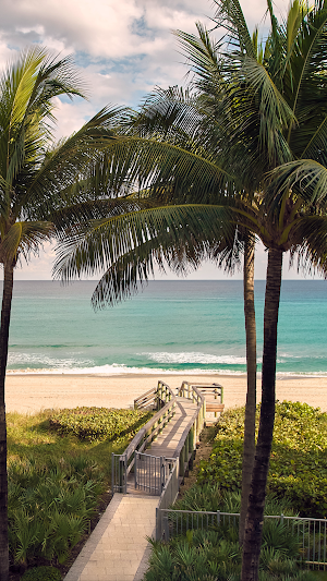 The Boca Raton Club Screenshot 0