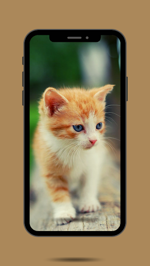 Cat Ringtone Screenshot 0