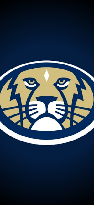 Saint Matthew School Lions Screenshot 0