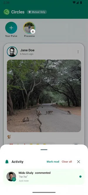 Circles Screenshot 3