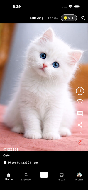 Cat Channel Screenshot 1