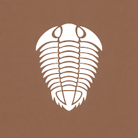 Fossil Ace: Fossil Identifier