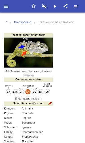 Chameleons Screenshot 2