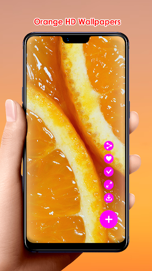 Orange HD Wallpapers Screenshot 1