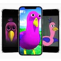Opila Bird Wallpapers 4K HD