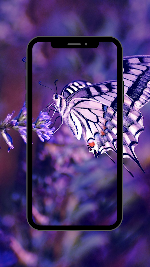 Butterfly wallpaper 4K, UHD Screenshot 0