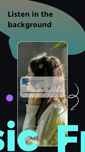 Mixtube Pro-LyricLoop Screenshot 1