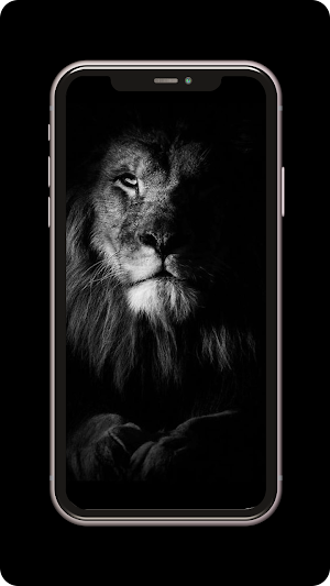 Dark Black Wallpaper HD Screenshot 0
