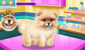 beautiful caring dog game Screenshot 3