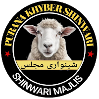Shinwari Majlis