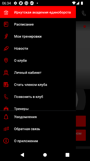 Иркутская Академия единоборств Screenshot 2