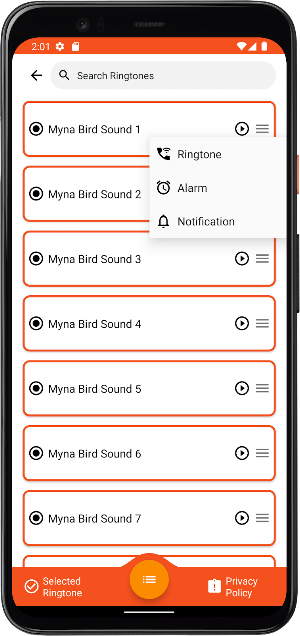 Myna Bird Sounds Screenshot 3