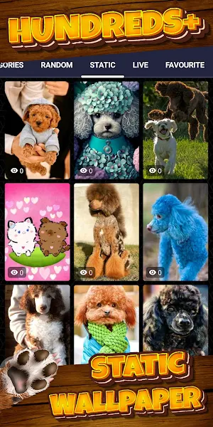 poodle wallpaper Screenshot 3