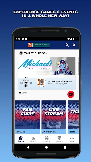 Valley Blue Sox Screenshot 0