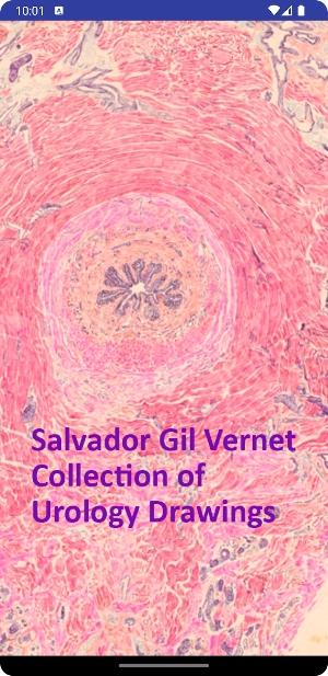 S. Gil Vernet Screenshot 0