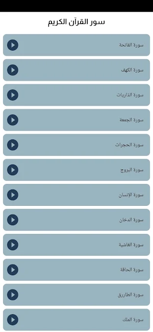 حسام الدين عبادي القران الكريم Screenshot 0