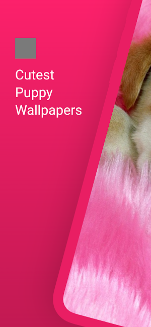 Cute dog wallpapers puppy Screenshot 0
