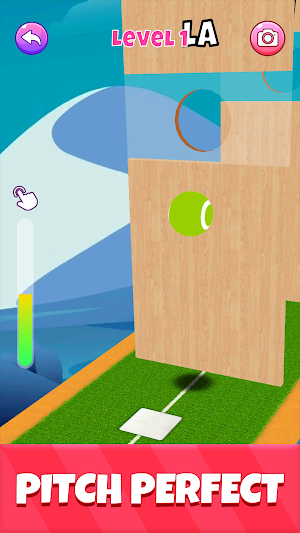 Mini Games: Perfect Challenge Screenshot 2