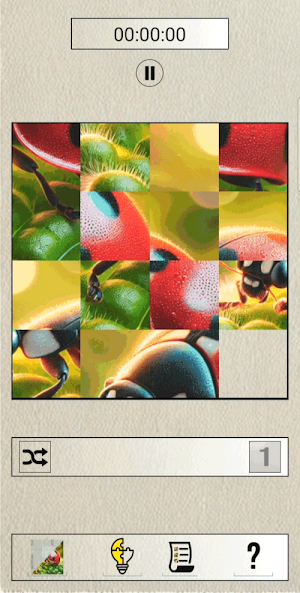 Puzzle Shift Pro Screenshot 0