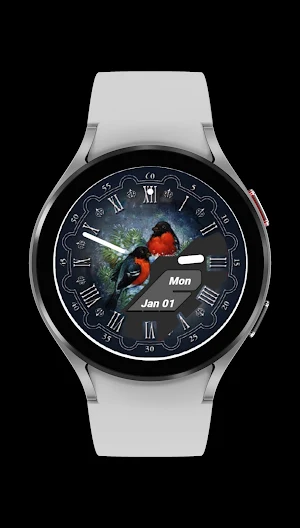Bullfinches Watch Face Screenshot 2