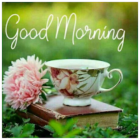 Good morning afternoon nights