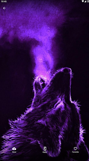 Animals Neon Wallpapers 4K HD Screenshot 0