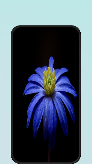 flower images hd Screenshot 0