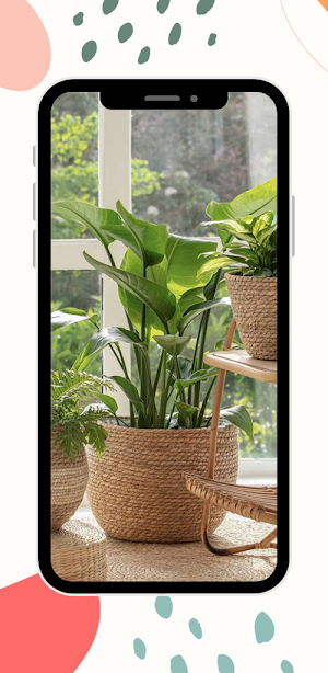 Indoor decorative plants Screenshot 0