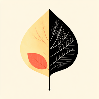 OutlineSketch: Photo Outliner