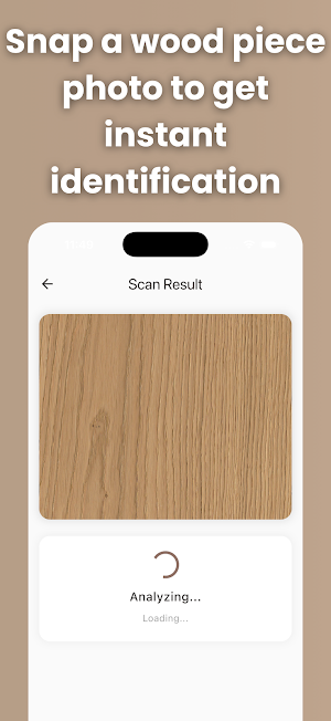 Wood Identifier: AI Scan Screenshot 1
