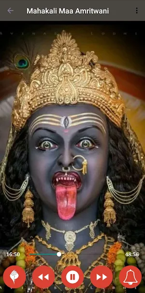 Shree Mahakali Amritwani Screenshot 2